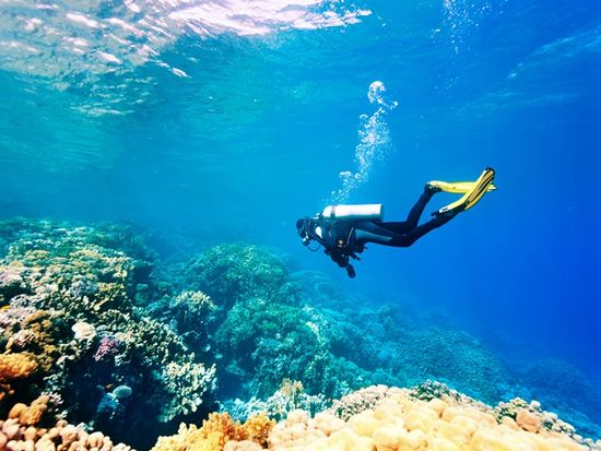 Generic_female_scuba_diver_swimming_under_water_shutterstock_177442700