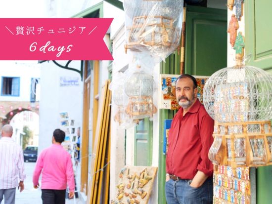 贅沢チュニジア 5泊6日周遊ツアー　古代遺跡から魅惑のサハラ砂漠体験もあり ＜貸切／日本語または英語ガイド／食事付き／チュニス発シディ・ブ・サイド着＞