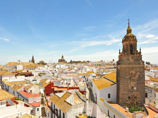 【5/30～6/7】8日間限定！ アンダルシアのひまわり畑見学ツアー カルモナのパラドール訪問付き＜半日／日本語アシスタント／セビリア発＞ byみゅう