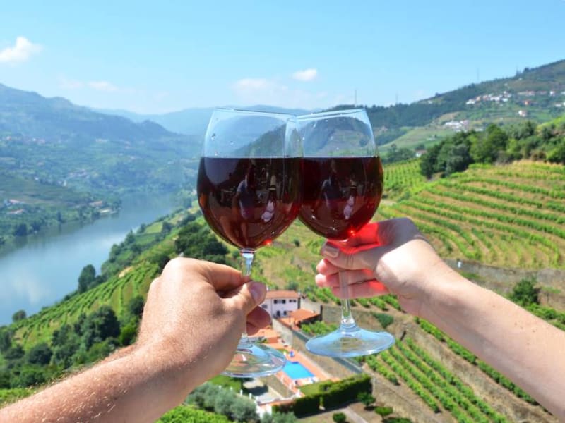 Douro valley wine