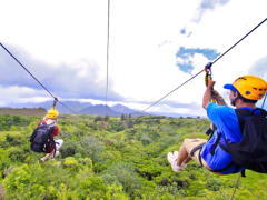 ジップライン (アクティビティ) | ハワイ（カウアイ島）の観光・オプショナルツアー専門 VELTRA(ベルトラ)