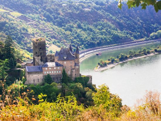 世界遺産ライン渓谷とハイデルベルク1日観光ツアー ＜車＋ガイド貸切／日本語／フランクフルト発＞