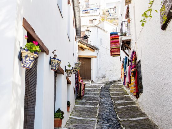 アルプハラとアンダルシアの白い村 1日観光ツアー ＜ランチ付き／グラナダ発着＞