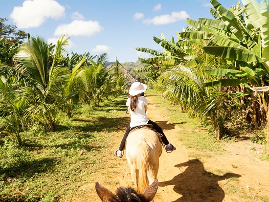 Cuba_Vinales_Valley_shutterstock_789314500