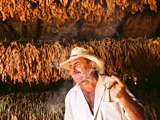 ハバナ＆世界遺産ビニャーレス渓谷 キューバ満喫 3泊4日ツアー！ホテル・カサ泊から選べます♪＜日本語or英語ガイド／貸切／ホセ・マルティ空港発着＞