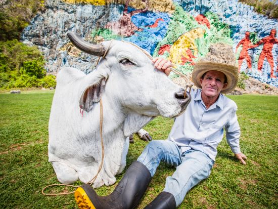 ハバナ＆世界遺産ビニャーレス渓谷 キューバ満喫 3泊4日ツアー！ホテル・カサ泊から選べます♪＜日本語or英語ガイド／貸切／ホセ・マルティ空港発着＞