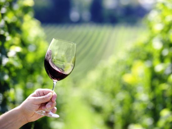 ボルドー　メドック地区またはサン・テミリオン地区 　格付けシャトーを訪問する半日ツアー＜日本語ドライバー／ボルドー発着＞