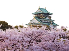 Japan_Osaka_Osaka_Castle_Spring_Sakura_Cherry_Blossoms_shutterstock_677489953