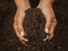 shutterstock_243783016