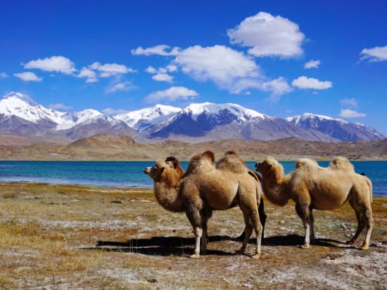 Karakul Lake_shutterstock_772410544