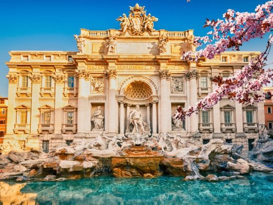 ローマ市内プライベートツアー　世界遺産コロッセオ入場＋選べる観光地6か所 ＜貸切／6時間／日本語ガイド付きプランあり＞