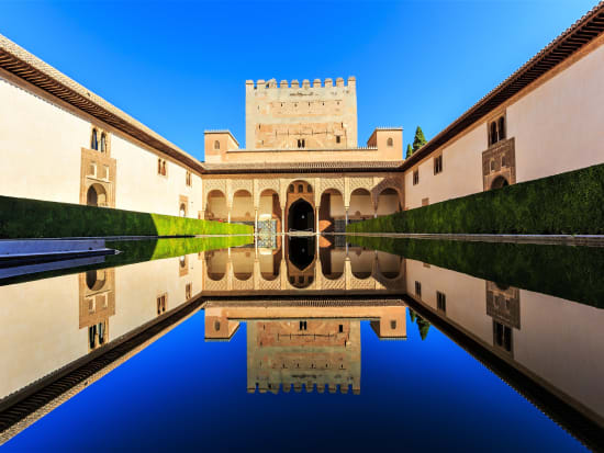 グラナダと世界遺産アルハンブラ宮殿 1日観光ツアー マラガまたはトレモリーノス発 スペイン マラガ 旅行の観光 オプショナルツアー予約 Veltra ベルトラ
