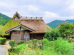 Miyama Kayabuki Village traditional thatched roof