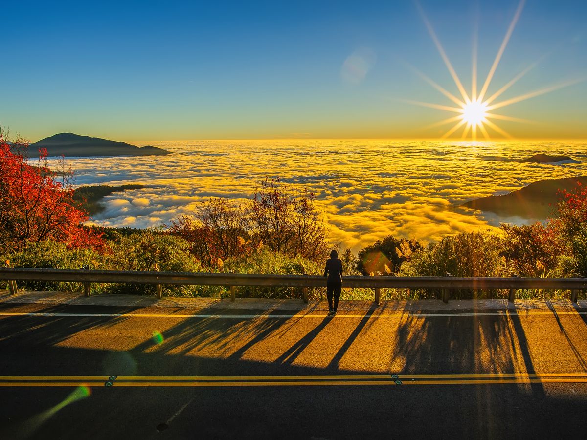 2024年4月28日～5月6日(GW)限定催行】阿里山1泊2日ツアー 故宮南院＋