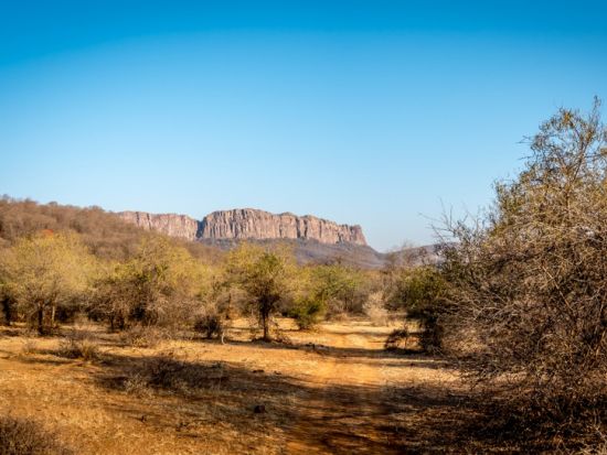  【5泊6日】デリー＋ジャイプール＋アグラ3都市周遊ツアー 野生のトラに会いに行くタイガーサファリ付＜貸切／日本語ガイド／デリー空港発着／宿泊＆食事付＞