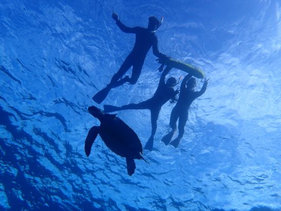 マンタとウミガメシュノーケリングツアー　半日で幻の島上陸も満喫できる！＜半日／市街地送迎／石垣島発＞