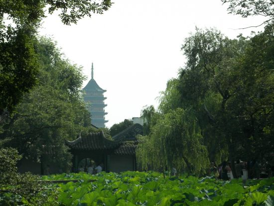 蘇州No.1の庭園・拙政園を訪れる！水の都蘇州1日ツアー☆小舟遊覧＋寒山寺＋虎丘＜ホテル送迎／日本語ガイド／昼食付＞