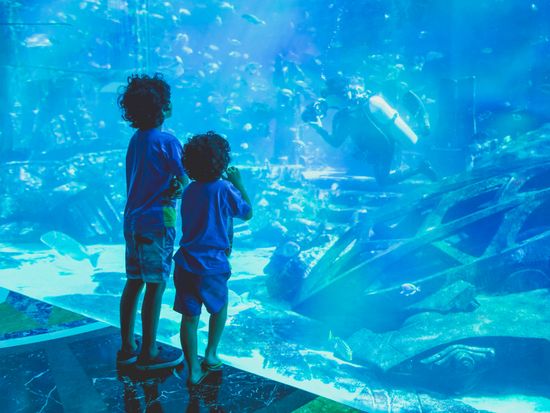 shutterstock_779041798