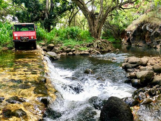 ノースショア　四輪バギーツアー　軍用車でダイナミックなオフロードを走り抜ける！天然プールで水遊びも＜午後＞