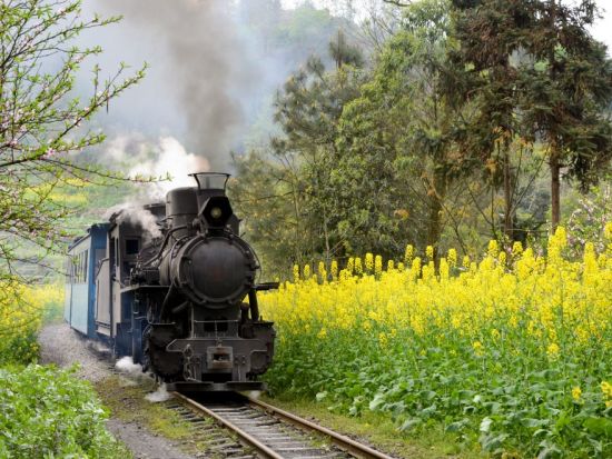 【貸切り】蒸気機関車”嘉陽小火車”で行く！世界遺産 楽山大仏 1泊2日宿泊ツアー＜日本語ガイド／成都発＞