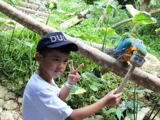 セブサファリ＆アドベンチャーパーク訪問　動物の餌やり体験もできる！ツアー後貸切チャーター（5時間）付きプランあり＜ホテル往復送迎／日本語ガイド／昼食付き＞