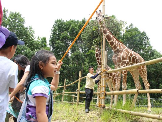 セブサファリ＆アドベンチャーパーク訪問　動物の餌やり体験もできる！ツアー後貸切チャーター（5時間）付きプランあり＜ホテル往復送迎／日本語ガイド／昼食付き＞