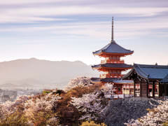 Japan_Kyoto_Kiyomizu_Temple_Spring_Sakura_Cherry_Blossoms_shutterstock_shutterstock_452592349
