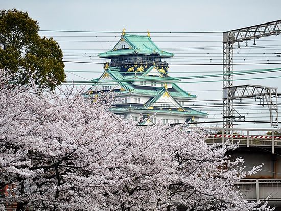 春の淀川の舟運 お花見クルーズ 大川沿いの桜並木を満喫 船内持ち込みok 毛馬閘門で水位調整体験 鍵屋資料館入館付 21年 4 2 5 大阪の観光 遊び 体験 レジャー専門予約サイト Veltra ベルトラ 春の淀川の舟運 お花見クルーズ 大川沿いの桜並木を満喫 船内持ち込みok 毛馬閘門で水位調整体験 鍵屋資料館入館付 21年 4 2 5 大阪の観光 遊び 体験 レジャー専門予約サイト Veltra ベルトラ
