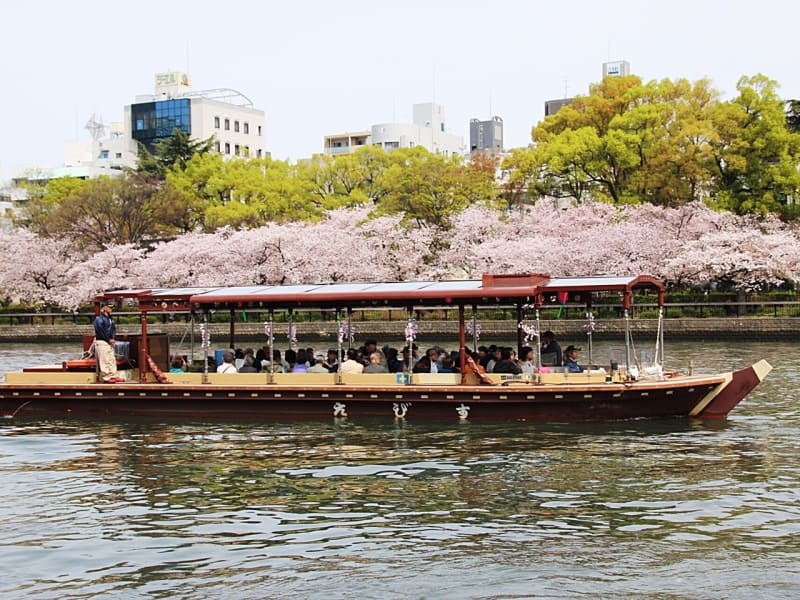 Spring Cherry Blossom Boat Cruise Down the Yodo River in Osaka tours