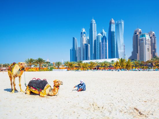 shutterstock_1011862075