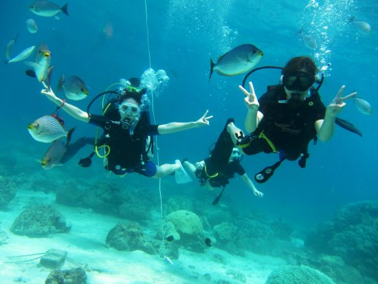 【乾季限定】カタビーチ シュノーケリング or ダイビングツアー＜日本語／ホテル送迎付＞ by 常夏屋