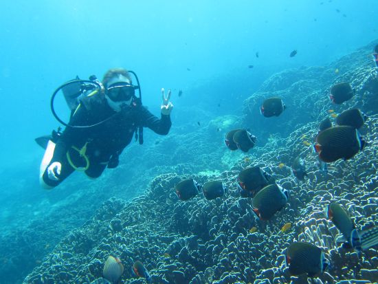 【乾季限定】カタビーチ シュノーケリング or ダイビングツアー＜日本語／ホテル送迎付＞ by 常夏屋