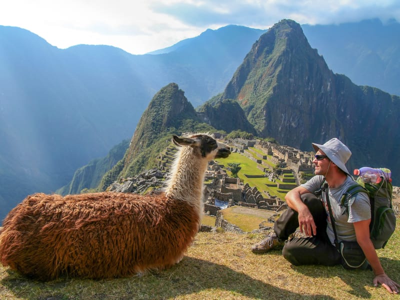 Peru_Machu Picchu_llama_shutterstock_466511777