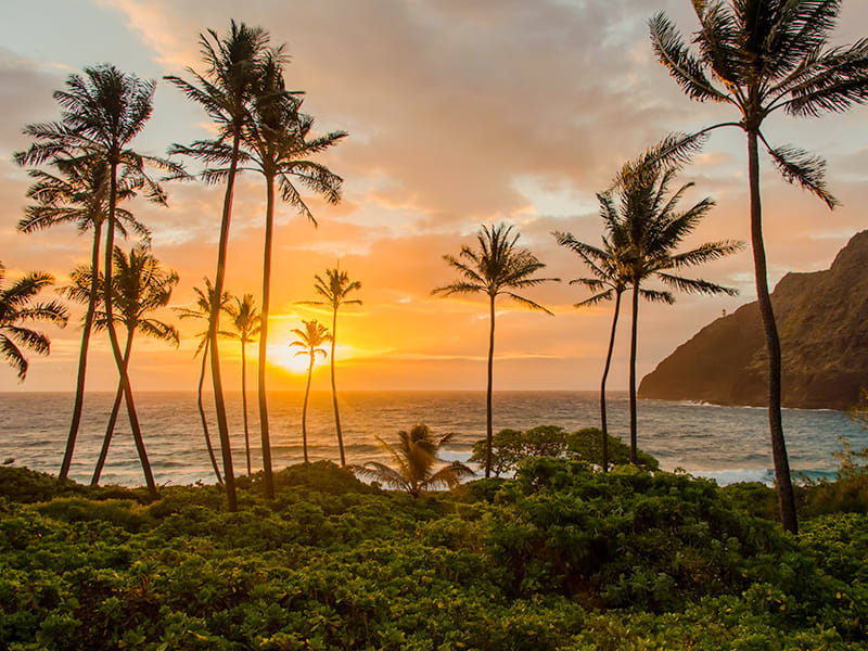 Windward Oahu Sunrise Photography Tours tours, activities, fun