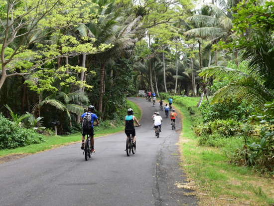 ハワイ島　キラウエア火山国立公園内をサイクリング！電動アシスト付きバイクツアー　GPS英語音声ナビ付き＜現地集合＞