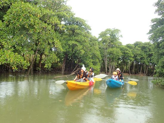 【グループ割4名～】億首川マングローブカヤックツアー ショップの車で楽々現地へ 間近でマングローブを見よう！＜恩納村集合・解散／写真撮影無料＞by グッドライフ