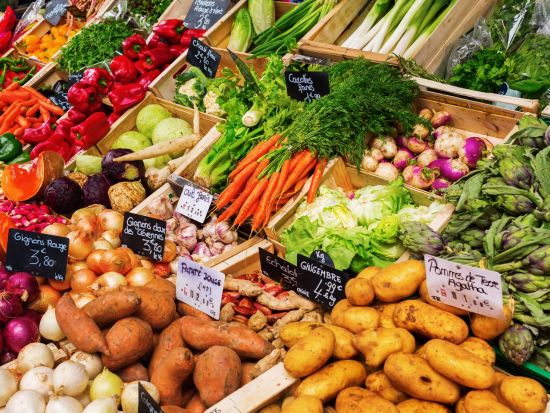 フランス語会話 プライベートレッスン　サン・ジェルマン・デ・プレ散策付き ＜日本語ガイド＞