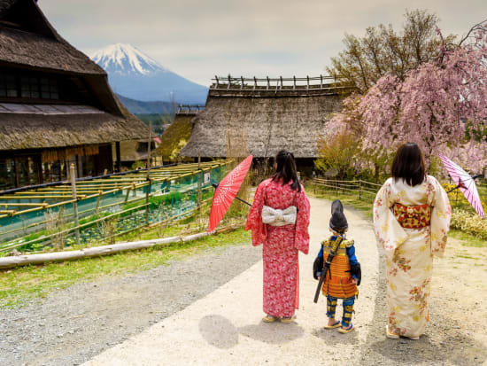 Iyashi-no-Sato_Water-Wheel_shutterstock_1214950132