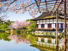 Japan_Kyoto_Heian jungu_Cherry_Blossom_Spring_Pond_shutterstock_254845927