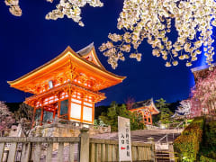 Japan_Kyoto_Kiyomizudera_Temple_Cherry_Blossom_Illuminated_shutterstock_246765673