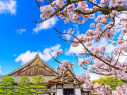 Japan_Kyoto_Nijo_Castle_Ninomaru_Palace_shutterstock_1032511561
