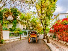 Turkey_Marmara-Sea_Buyukada-street_shutterstock_1041933007