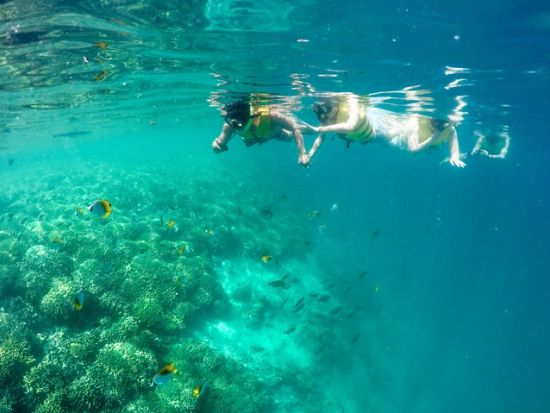 サンドバー　キャプテンブルース　天国の海®︎シュノーケリングクルーズ　SUPや浮き輪などレンタルアイテムも！＜午前・午後／日本語クルー＞