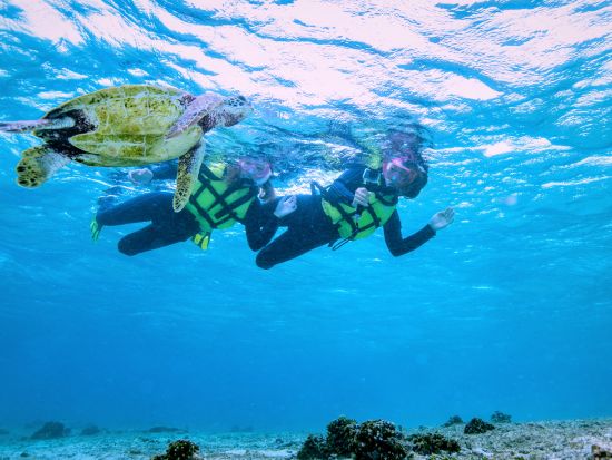 宮古島定番アクティビティ　ウミガメ体験＋サンセットSUPセットプラン＜再チャレンジ無料保証／写真付き／1日／宮古島＞