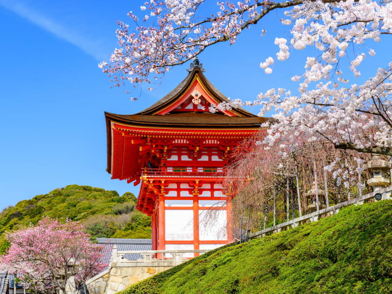 Kyoto Private Taxi Tour with Customizable Itinerary & English-Speaking ...