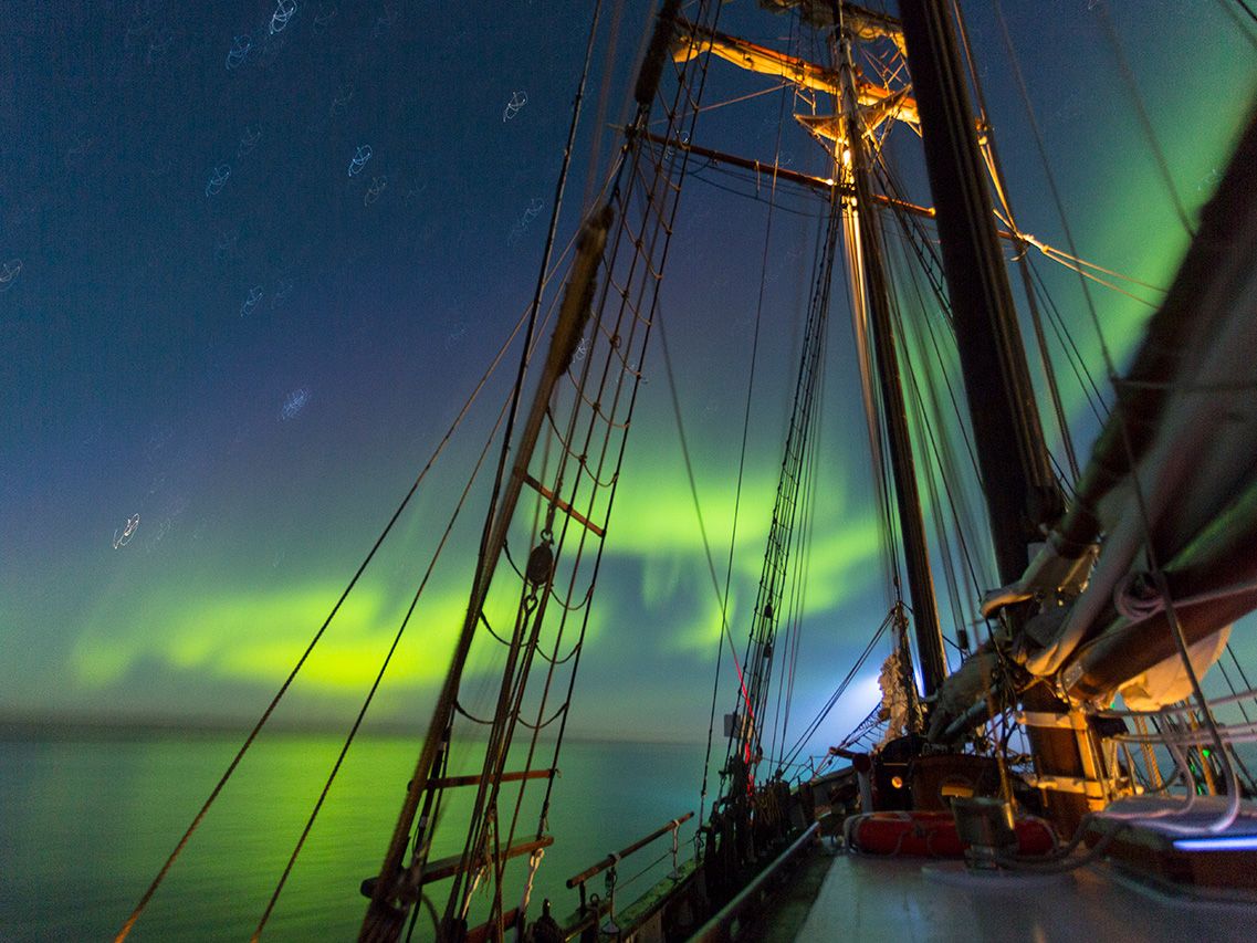 20190213115547_1748409424_1338