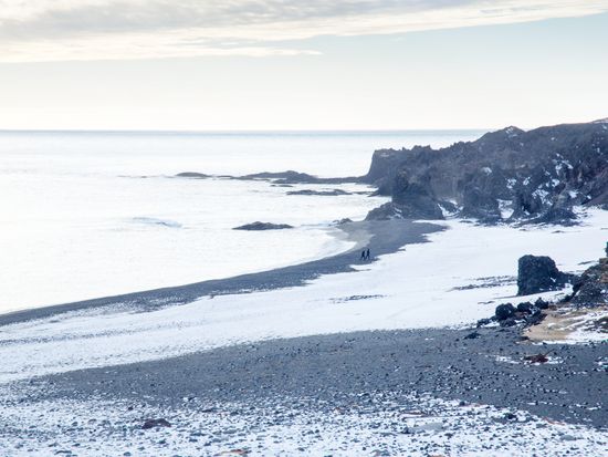 shutterstock_1291938136