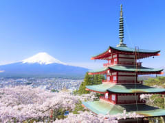 View of Mt. Fuji in the spring