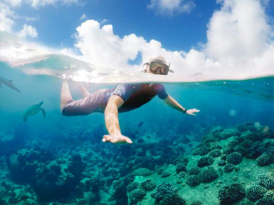 プナルウ黒砂海岸 シュノーケリングツアー　ウミガメの生息地として有名な黒砂のビーチで体験 ＜軽食付き／英語ガイド／ヒロ地区発＞