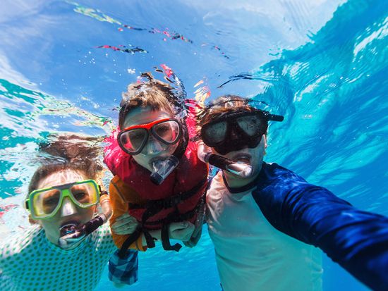 プナルウ黒砂海岸 シュノーケリングツアー　ウミガメの生息地として有名な黒砂のビーチで体験 ＜軽食付き／英語ガイド／ヒロ地区発＞